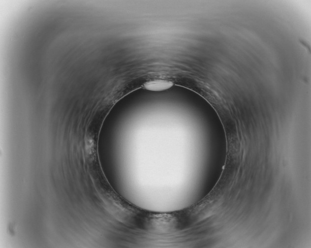 X0000095110087200712141201