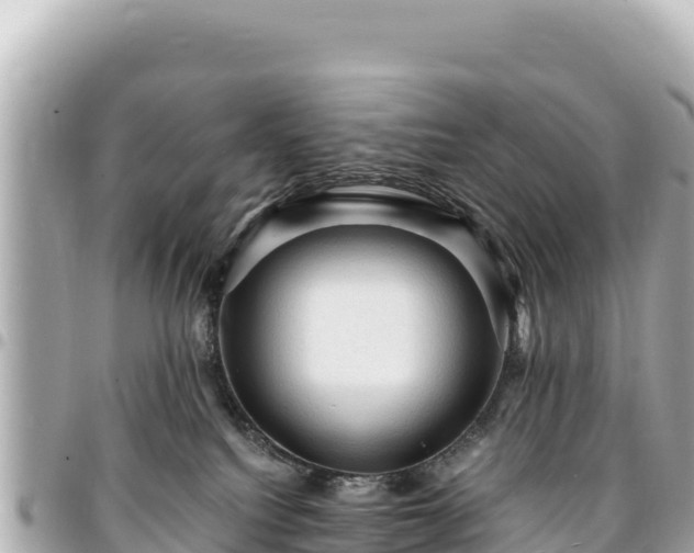 X0000095110088200712141201