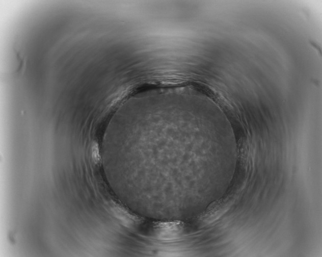 X0000095110089200712141201