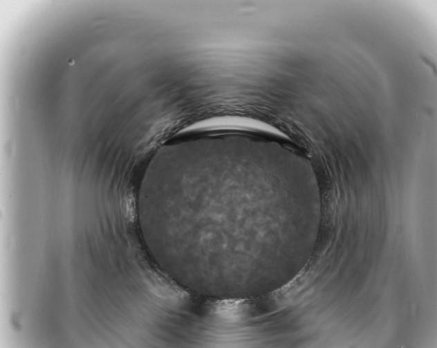 X0000095110090200712141201