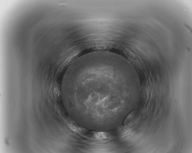 X0000095110091200712141201