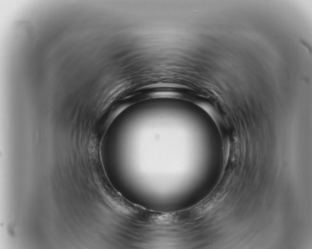 X0000095110092200712141201