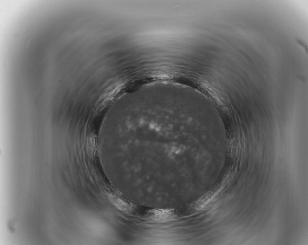 X0000095110093200712141201