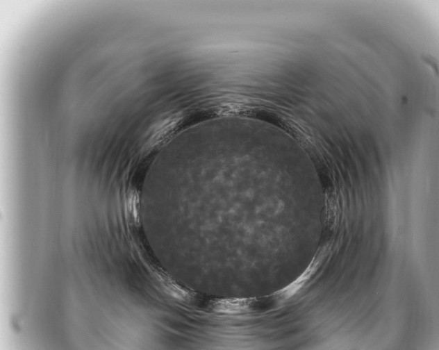 X0000095110094200712141201