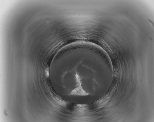 X0000095110095200712141201