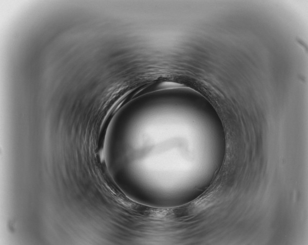 X0000095110096200712141201