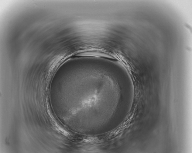 X0000095110097200712141201