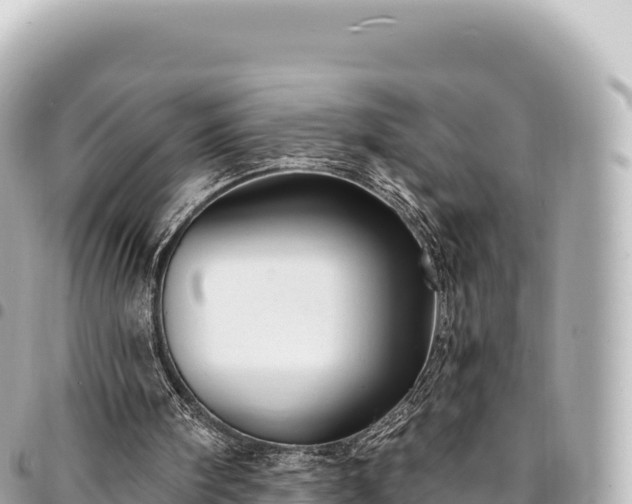 X0000095110098200712141201