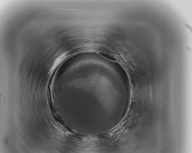 X0000095110099200712141201