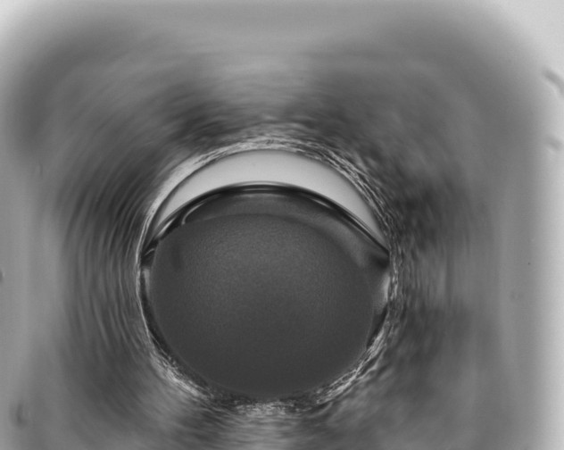 X0000095110100200712141201