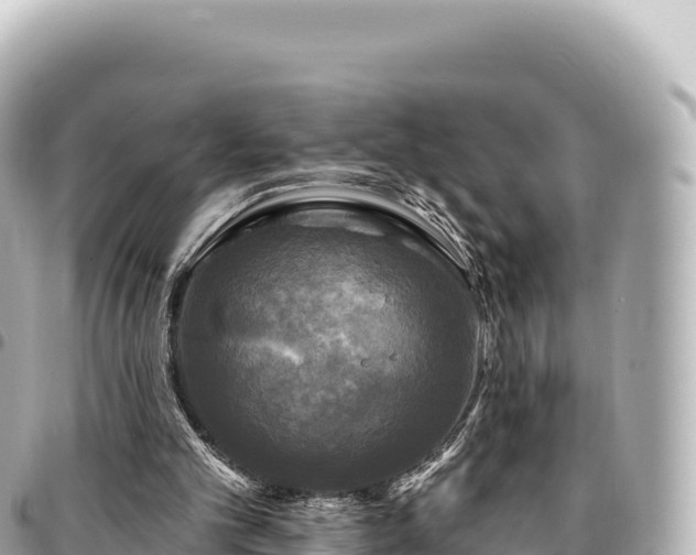 X0000095110101200712141201