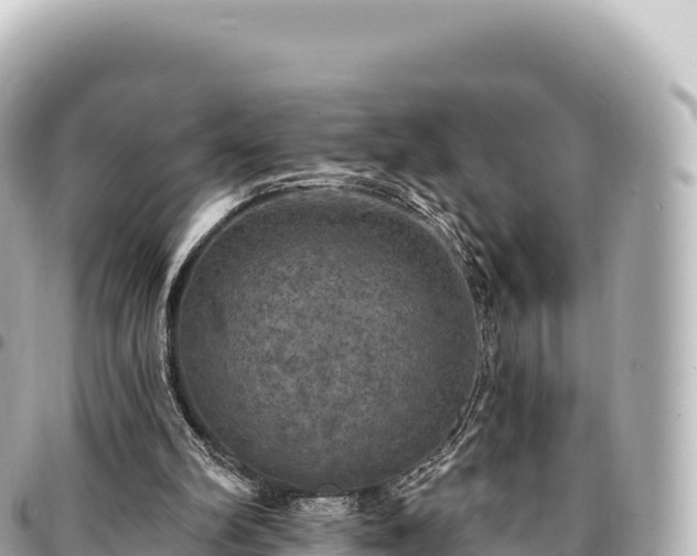 X0000095110102200712141201