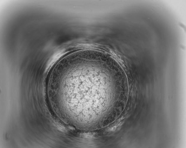 X0000095110103200712141201