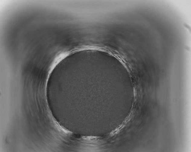 X0000095110104200712141201