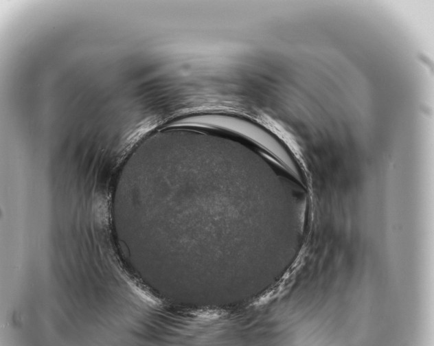 X0000095110105200712141201