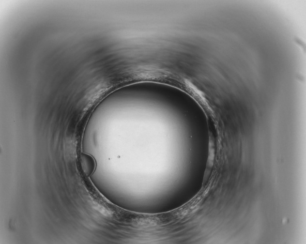 X0000095110106200712141201