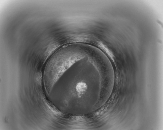 X0000095110107200712141201