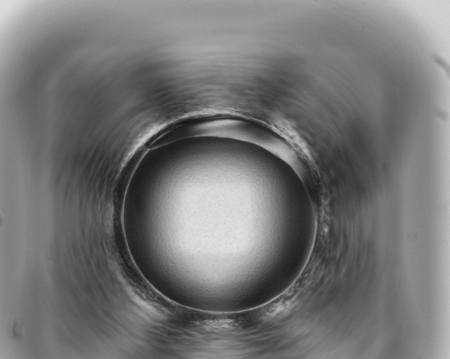 X0000095110108200712141201