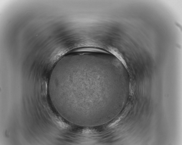 X0000095110109200712141201