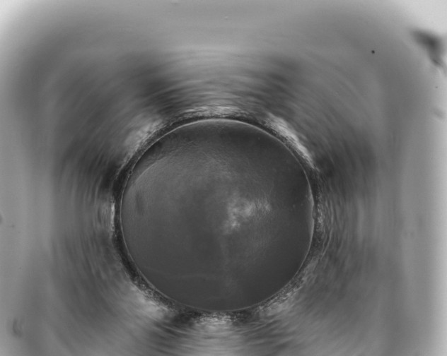 X0000095110110200712141201