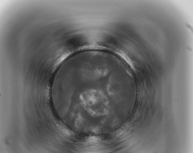 X0000095110111200712141201