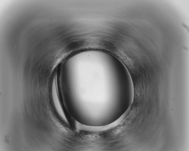 X0000095110112200712141200