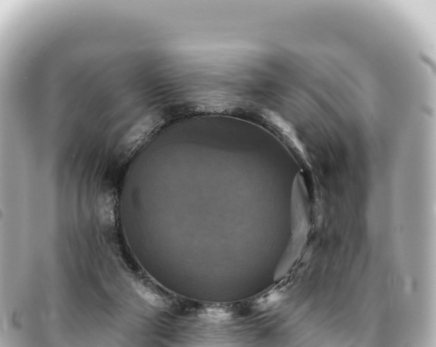 X0000095110114200712141200