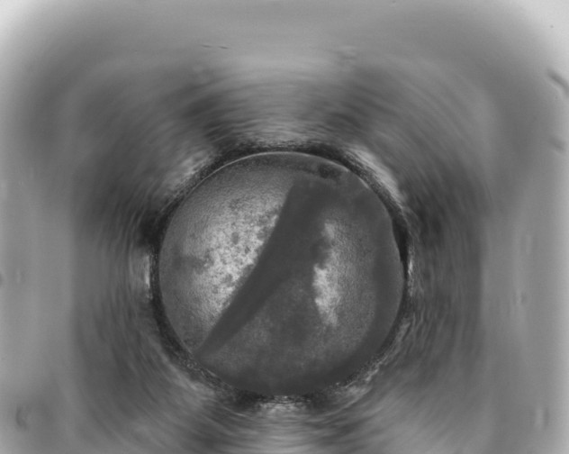 X0000095110115200712141200