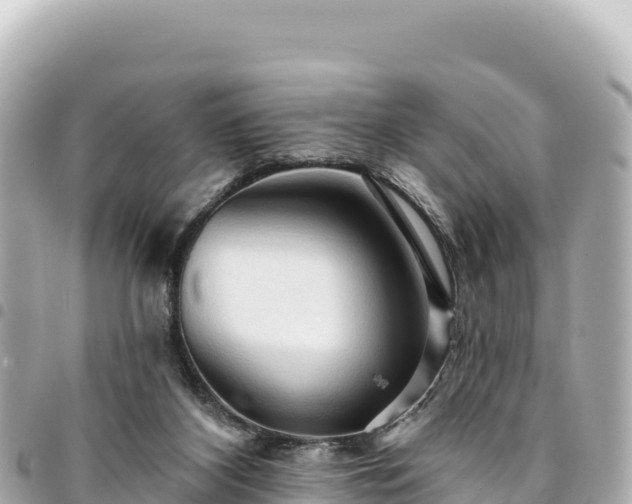 X0000095110116200712141200