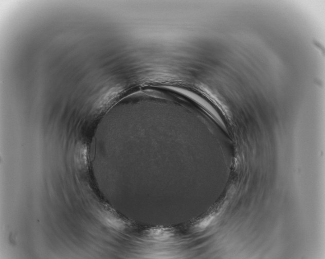 X0000095110117200712141200