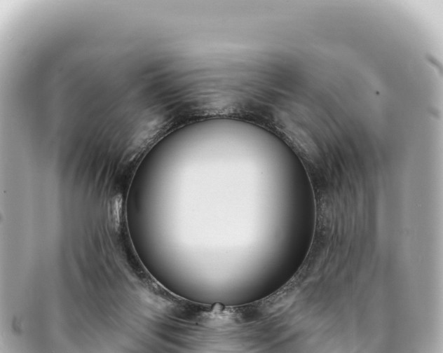 X0000095110118200712141200