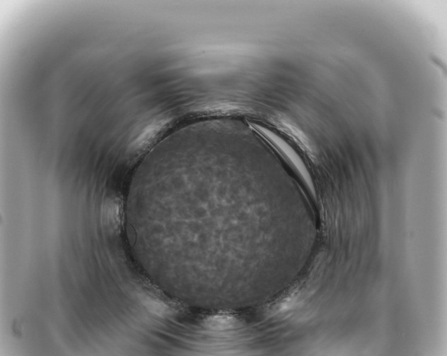 X0000095110119200712141200