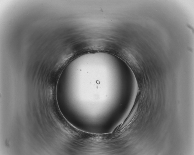 X0000095110120200712141200