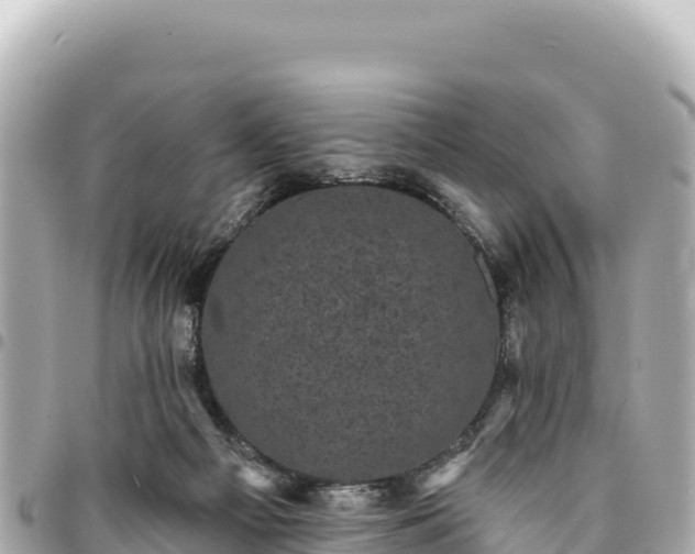 X0000095110121200712141200