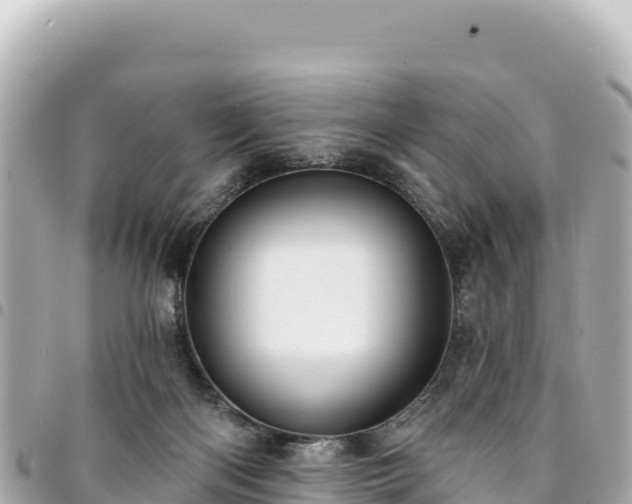 X0000095110122200712141200