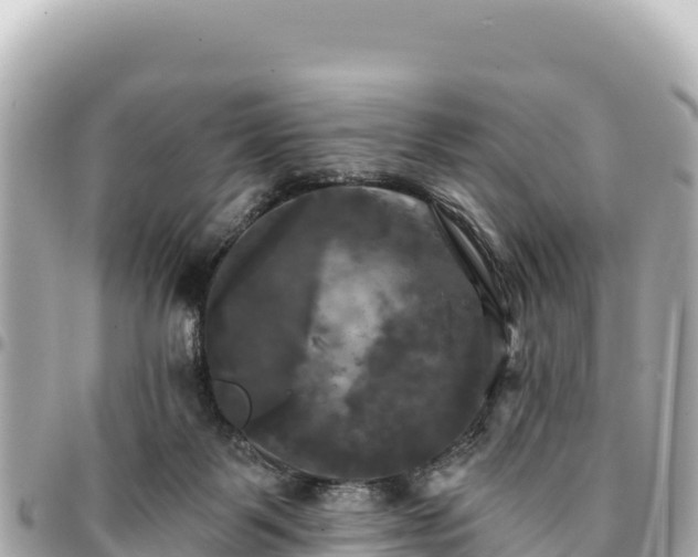 X0000095110123200712141200