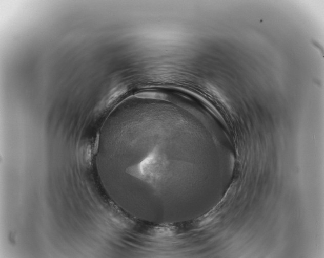 X0000095110124200712141200