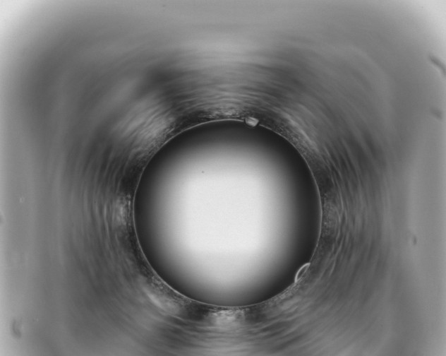 X0000095110126200712141200