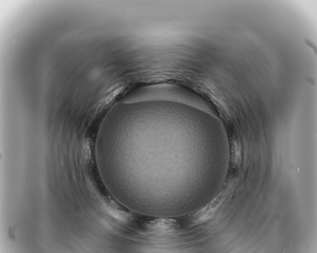 X0000095110128200712141200