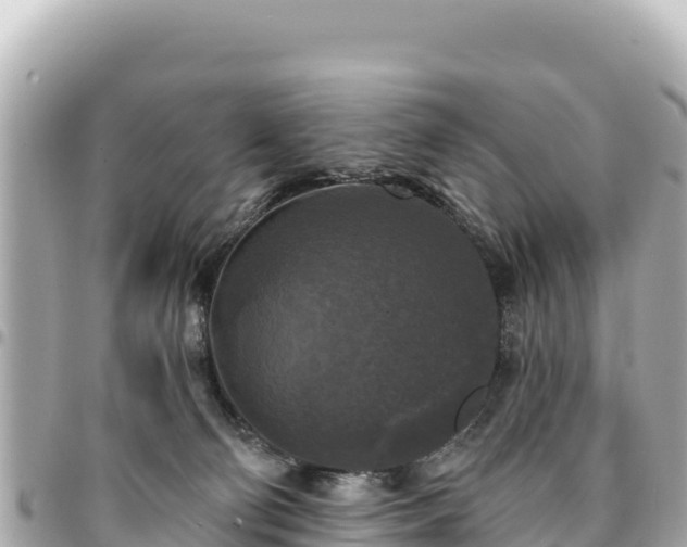 X0000095110130200712141200