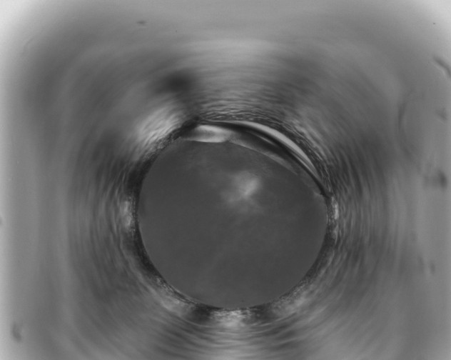 X0000095110131200712141200