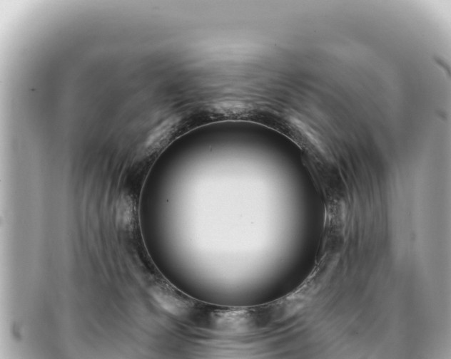 X0000095110132200712141200