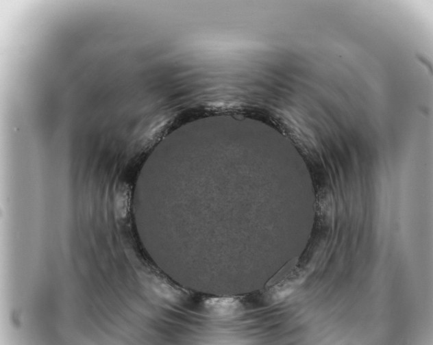 X0000095110133200712141200