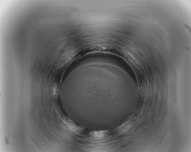 X0000095110134200712141200