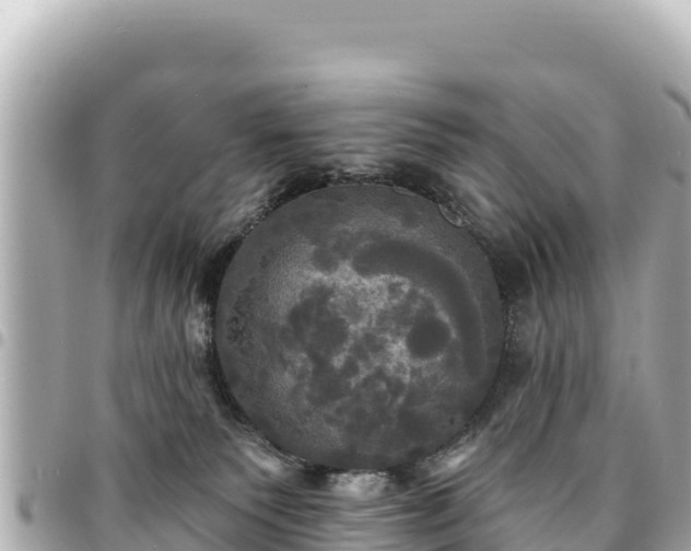 X0000095110135200712141200