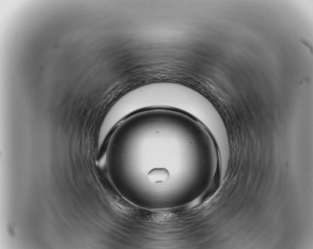 X0000095110136200712141200