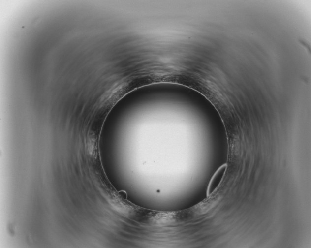 X0000095110138200712141200