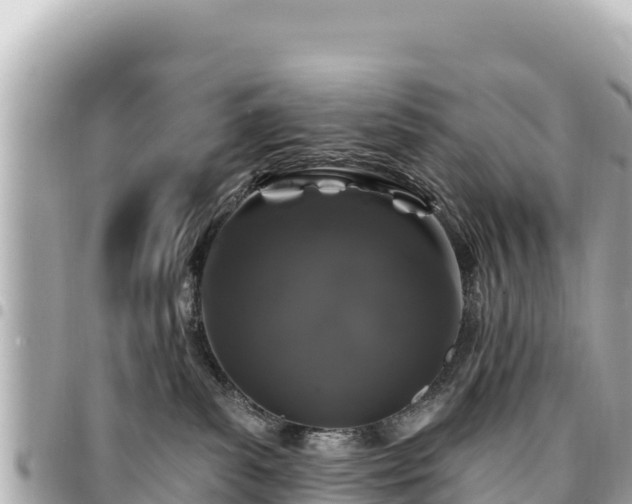 X0000095110139200712141200