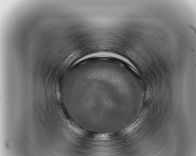 X0000095110140200712141200