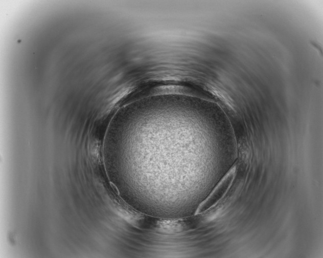 X0000095110141200712141200